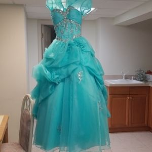 Prom/quinceanera dress